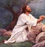 Solennità del Corpo e del Sangue di Cristo