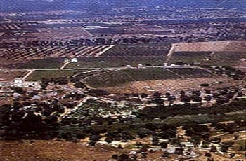 Comitato Nobiomasse Cavallino: rimpallo tra Regione e Provincia di...