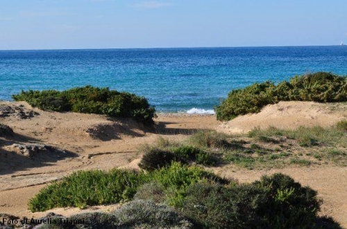 Legambiente: un fronte comune contro gli sbancamenti dunali a...