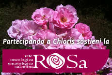 Provincia di Taranto, Assistenza domiciliare, domani mattina la...