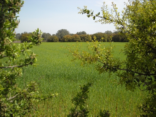 Sbloccare gli appalti per riavviare l'economia
