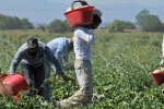 Migranti: rendere visibili extracomunitari con condizioni di vita...