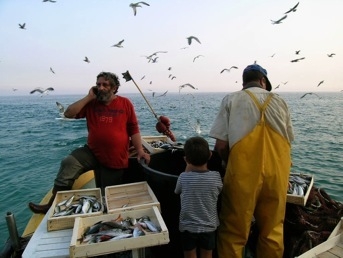 Scatta da oggi nell'Adriatico il "fermo pesca"