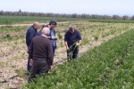 Giornata Terra, in Puglia mangiati altre 7,18 km quadrati in un anno....