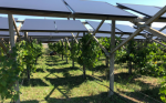 agrivoltaica