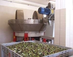 Gestione dei rifiuti provenienti dalla lavorazione delle olive, se ne...