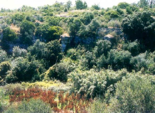 "A Spasso per i Parchi", iniziativa gratuita delle Guide...