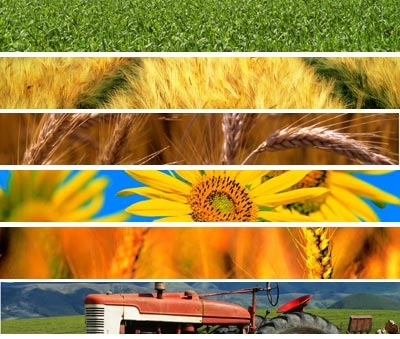 Politica Agricola Comunitaria: Russo scrive al Ministro Zaia