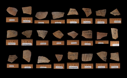 Missione Archeologica in Egitto, ritrovati 150 Ostraka demotici,...