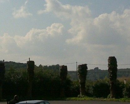 Palme morte, Otranto cambia volto così muore la riviera