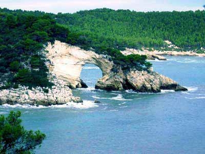 Operazione Parchi Puliti in Puglia, dalla Capitanata al Salento si...