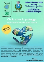 Il Comune di Cavallino partecipa a Puliamo il mondo